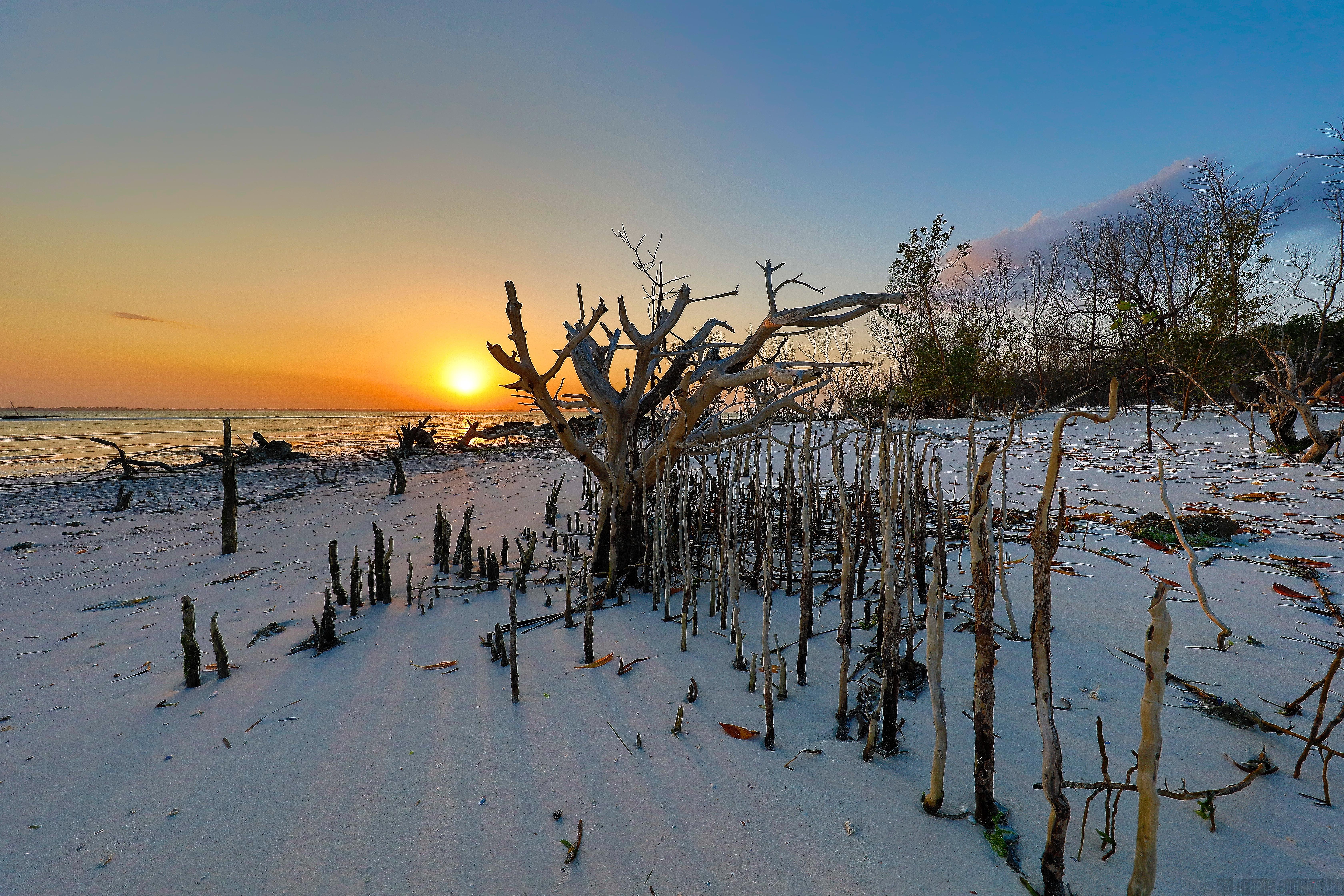 Michamvi Sunset Bay Otel Dış mekan fotoğraf